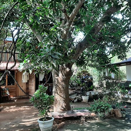 Serenity House In Дамбула Екстериор снимка
