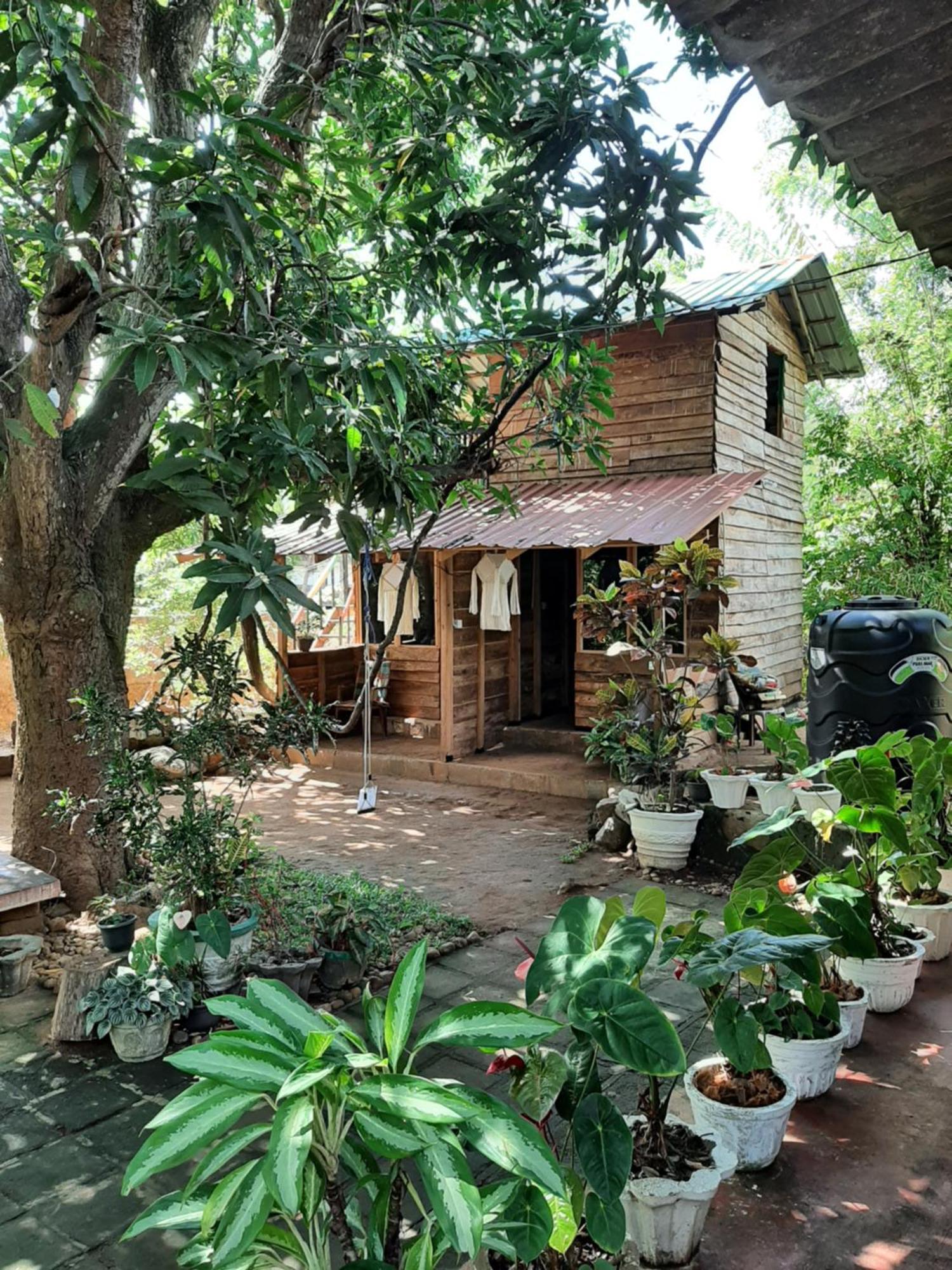 Serenity House In Дамбула Екстериор снимка